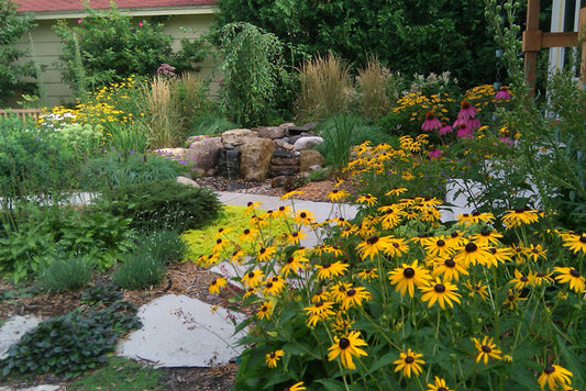 Built your butterfly garden for pollinator from Eden of Wings, FL