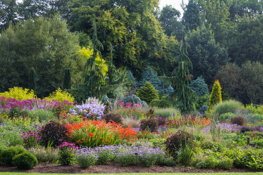 Blooms for butterflies!!! from Eden of Wings