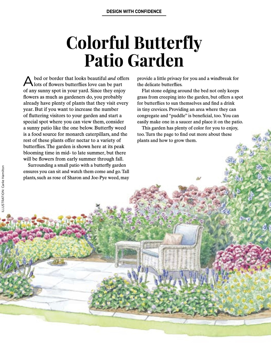 Colorful Butterfly Patio Garden from Eden of Wings, FL
