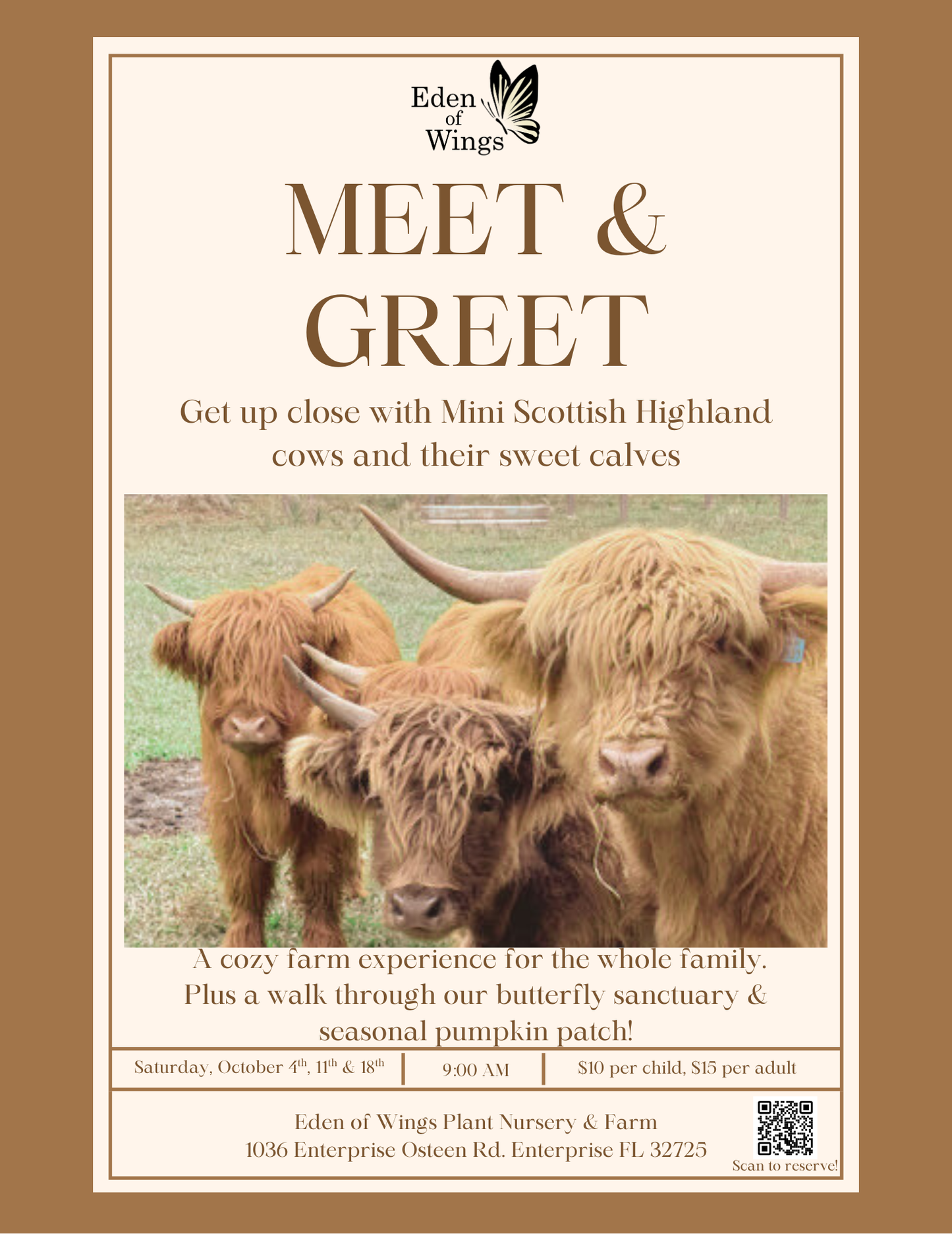 Meet & Greet: Mini Scottish Highland Cows and Their Babies
