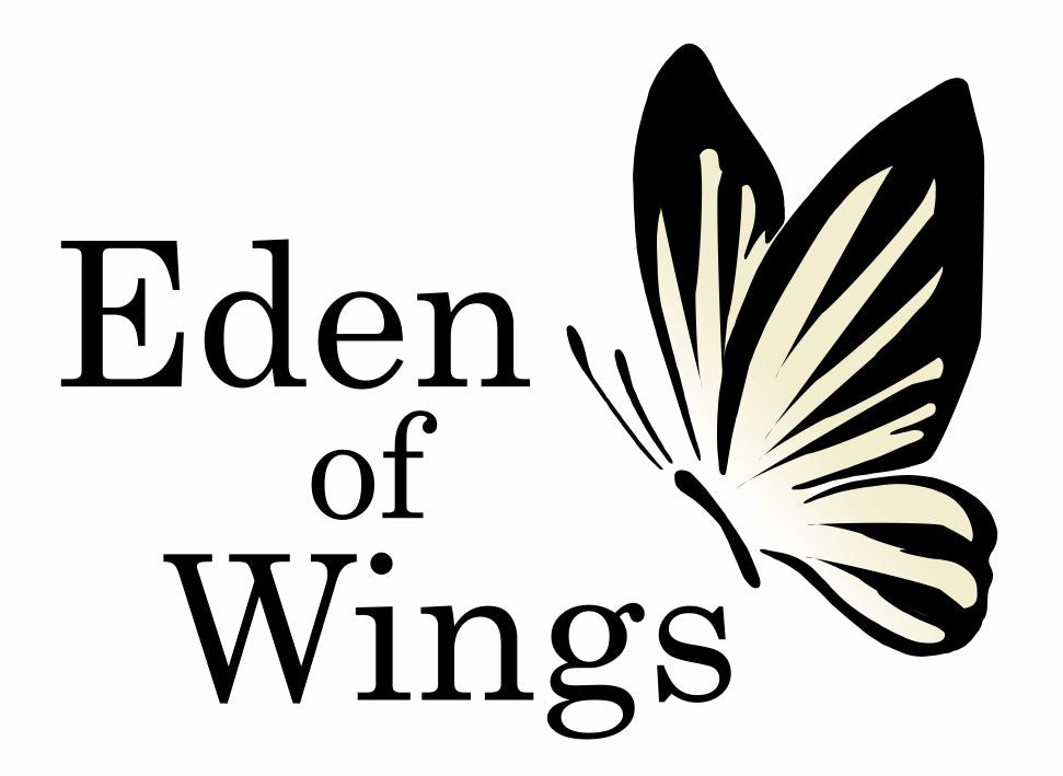 Eden of Wings